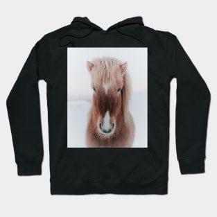 Icelandic Horse Hoodie